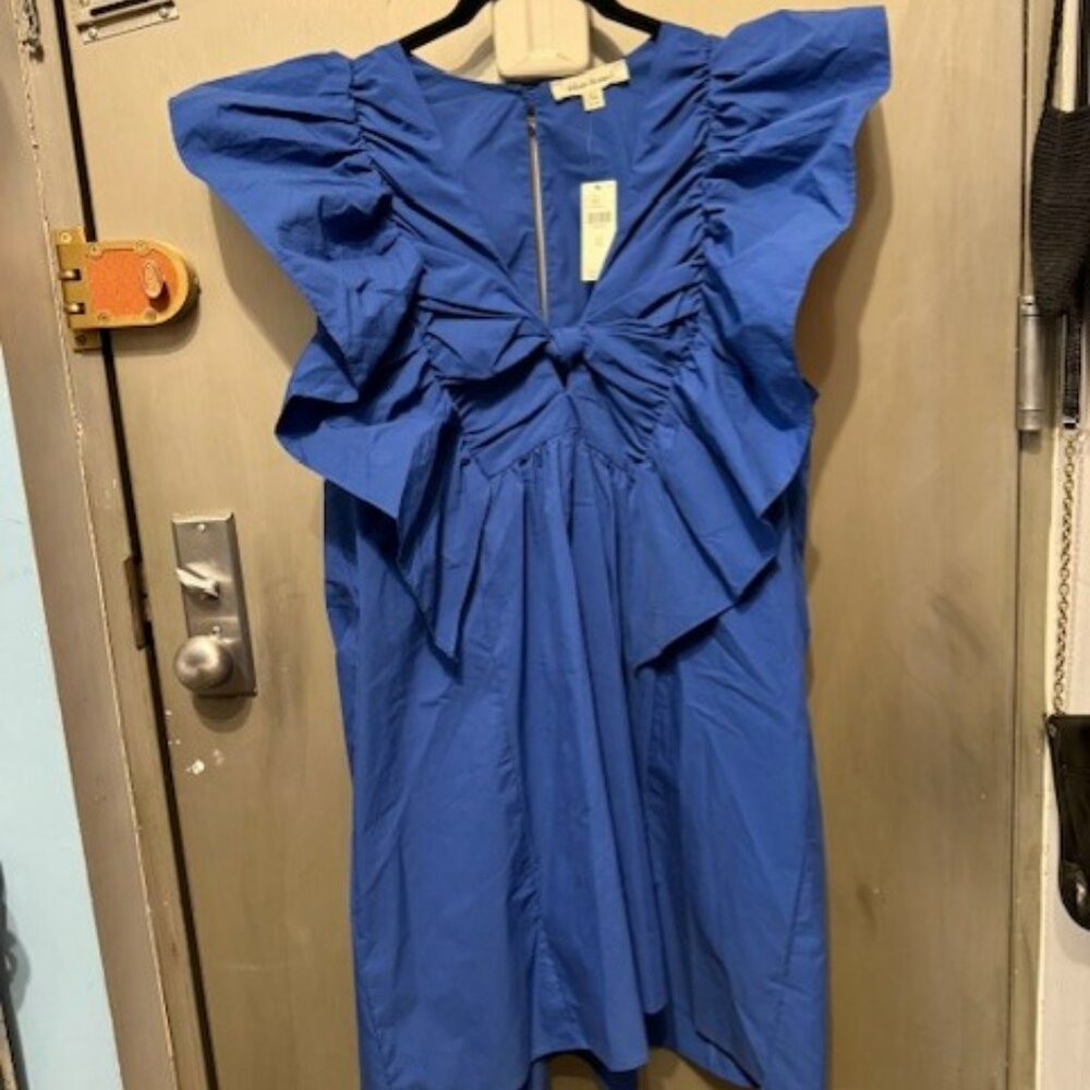 Ruffled Waistless Mini Bow Dress - Picture 6 of 16